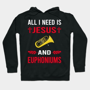 I Need Jesus And Euphonium Euphoniums Hoodie